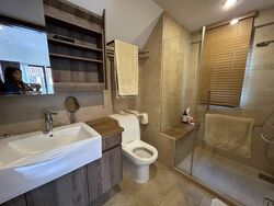 Holland Link (D10), Terrace #497123991
